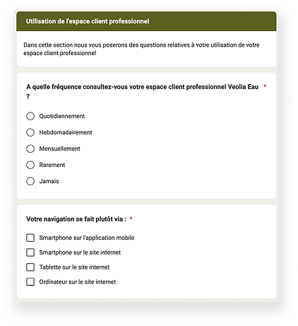 Questionnaire 2
